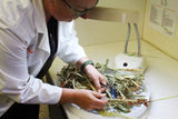 On Farm Prussic Acid & Nitrate Testing Kit