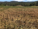 On Farm Prussic Acid & Nitrate Testing Kit
